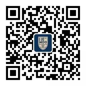 非凡国际wedo_非凡国际|文化金融|艺术教育|文化旅游