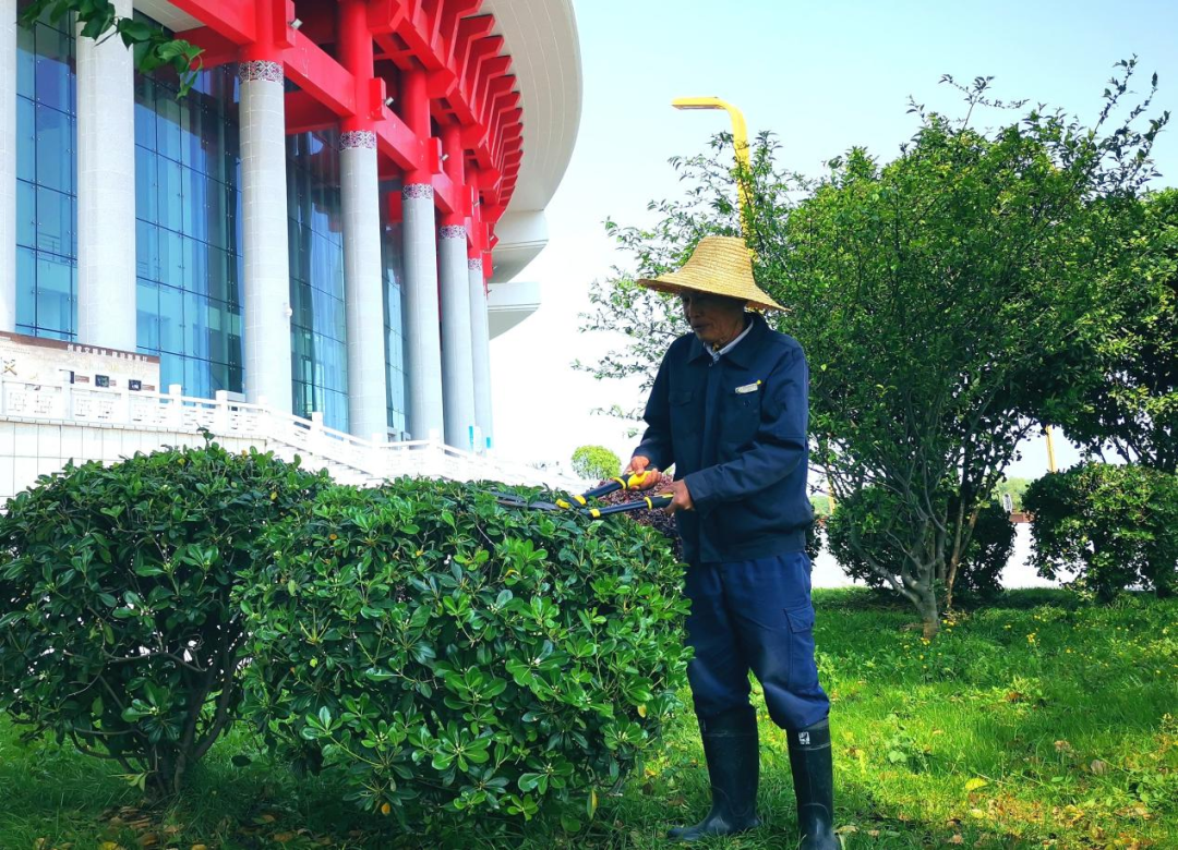 芳菲四月 | 看五彩缤纷 绽斗争优美_非凡国际|文化金融|艺术教育|文化旅游